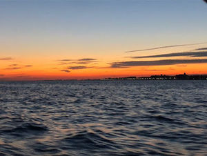 Meet your Posher, Samuel